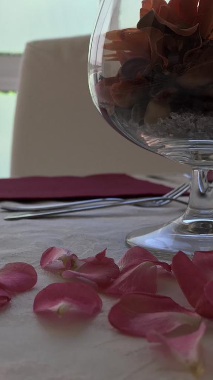 Lady Rose Bed & Breakfast Pisa Exterior photo